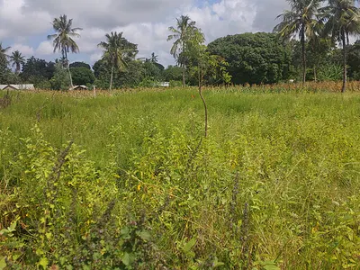 Property advertisement in Mtwapa