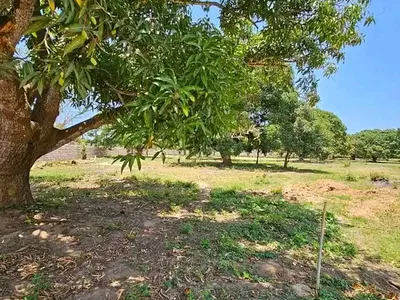 Vipingo quarter-acre plots - listing photo 2
