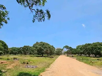 Vipingo quarter-acre plots - listing photo 4