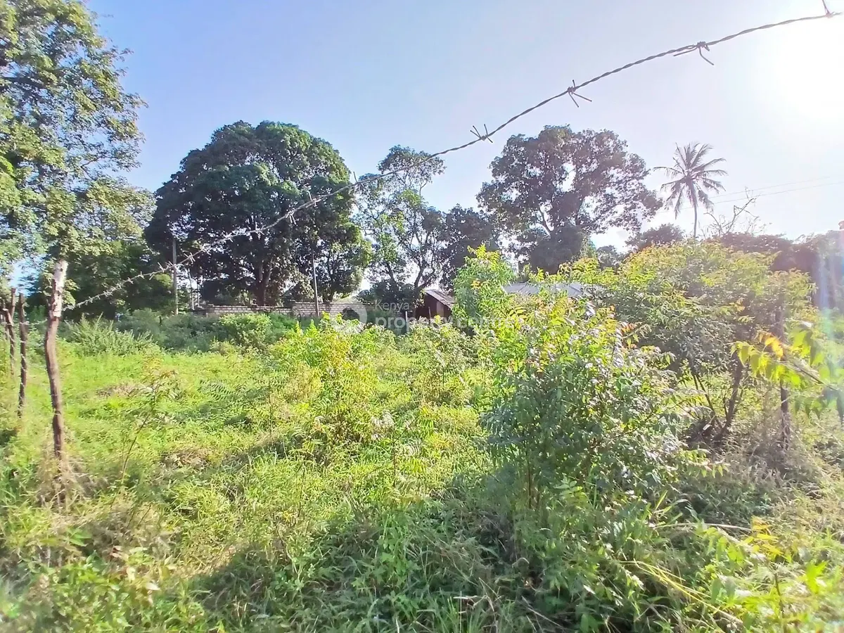 Porini residential plot - photo from Edgestone Real Estate