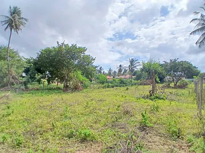 Madzayo half-acre plot - listing photo 3