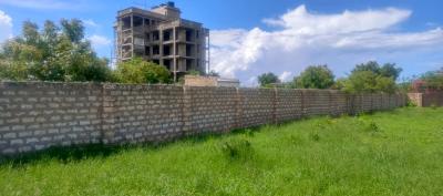Jumba Ruins half-acre plot - listing photo 3