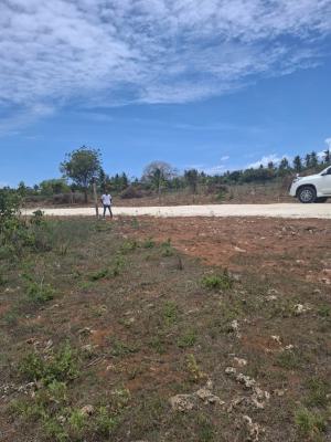 Mtondia highway plots - listing photo 3