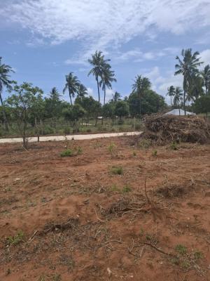 Mtondia highway plots - listing photo 4
